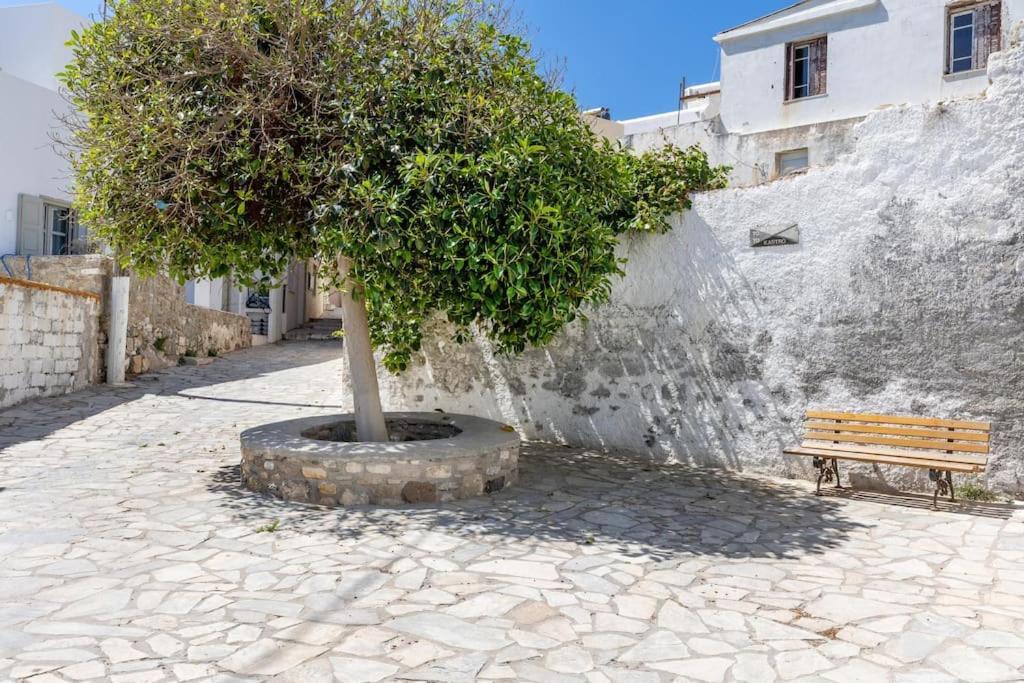 Villa Avgerinos à Naxos City Extérieur photo